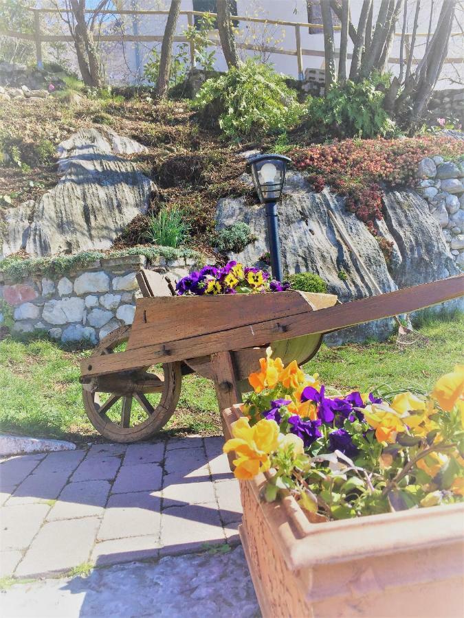 Appartamento La casa nel bosco Malcesine Esterno foto